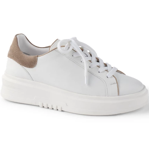 Trainers